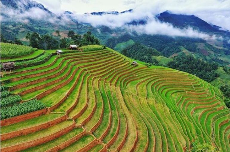Terrace-Rice-Field-in-Mu-Cang-Chai-2
